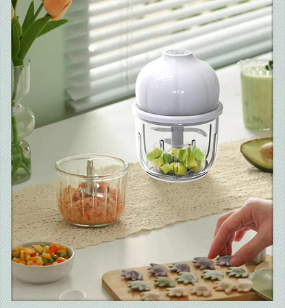 Electric Mini Food Chopper – 250ml